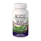 HD-Brain